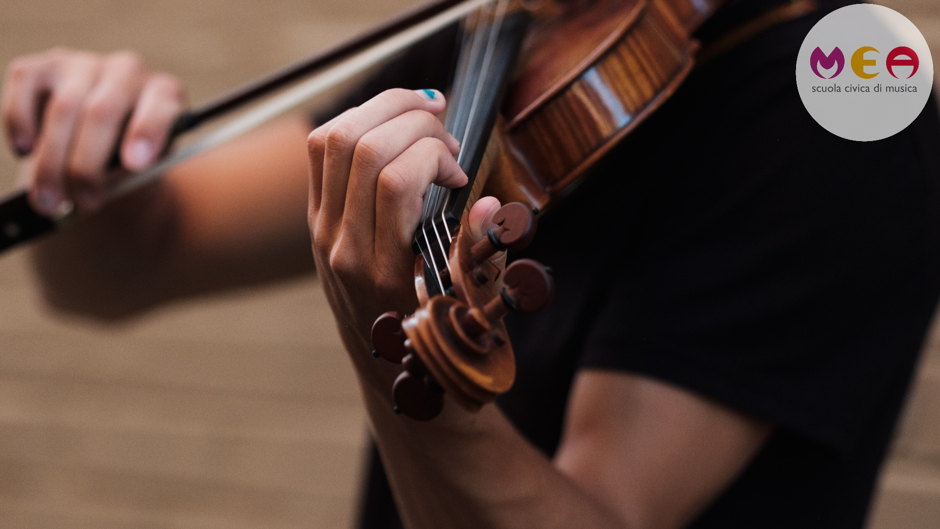 Violino