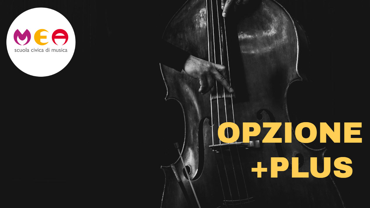 Opzione PLUS, cosa è?